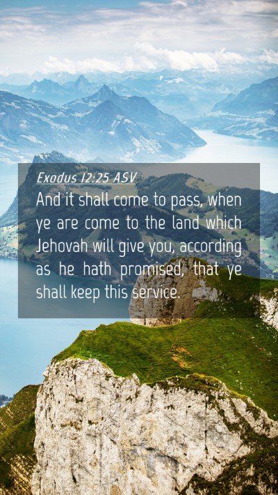 Picture 04 - Exodus 12:25 ASV Mobile Phone Wallpaper - And it shall come to pass, when ye are come to - Mobile Bible Verse Wallpaper
