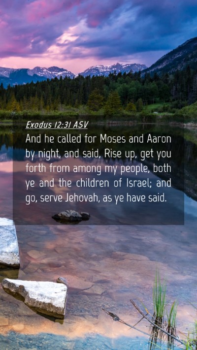 Picture 04 - Exodus 12:31 ASV Mobile Phone Wallpaper - And he called for Moses and Aaron by night, and - Mobile Bible Verse Wallpaper