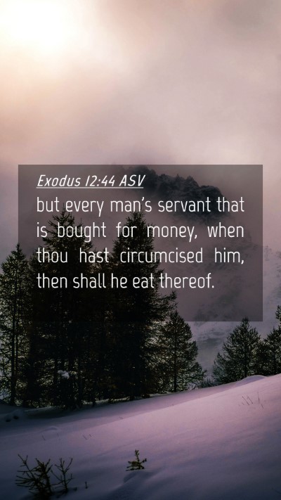 Picture 04 - Exodus 12:44 ASV Mobile Phone Wallpaper - but every man's servant that is bought for money, - Mobile Bible Verse Wallpaper