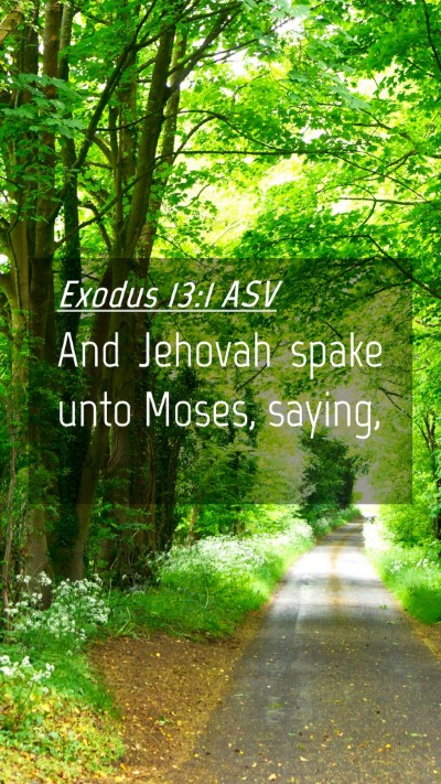 Picture 04 - Exodus 13:1 ASV Mobile Phone Wallpaper - And Jehovah spake unto Moses, - Mobile Bible Verse Wallpaper