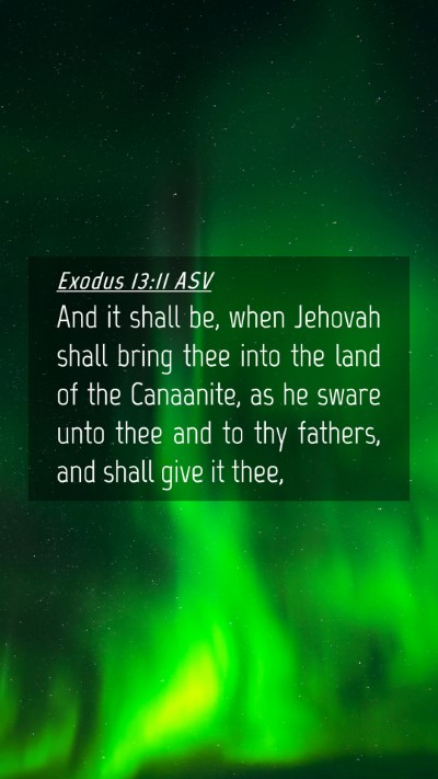 Picture 04 - Exodus 13:11 ASV Mobile Phone Wallpaper - And it shall be, when Jehovah shall bring thee - Mobile Bible Verse Wallpaper