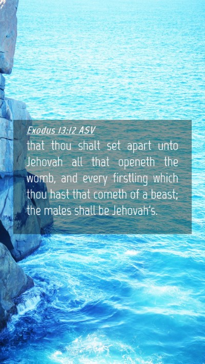 Picture 04 - Exodus 13:12 ASV Mobile Phone Wallpaper - that thou shalt set apart unto Jehovah all that - Mobile Bible Verse Wallpaper