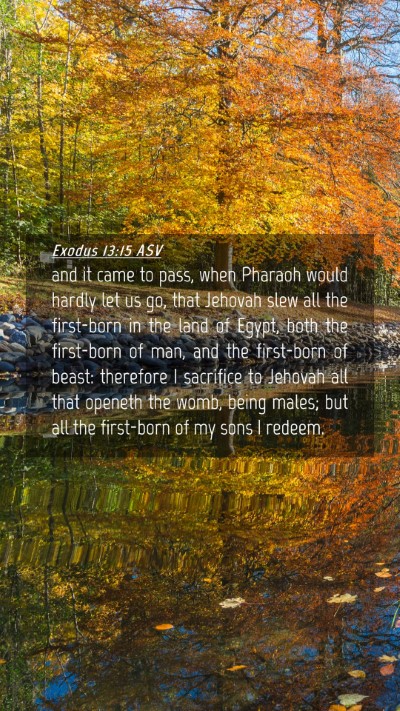 Picture 04 - Exodus 13:15 ASV Mobile Phone Wallpaper - and it came to pass, when Pharaoh would hardly - Mobile Bible Verse Wallpaper