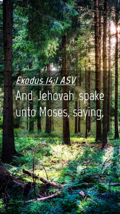 Picture 04 - Exodus 14:1 ASV Mobile Phone Wallpaper - And Jehovah spake unto Moses, - Mobile Bible Verse Wallpaper