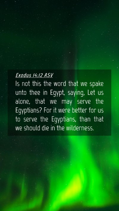 Picture 04 - Exodus 14:12 ASV Mobile Phone Wallpaper - Is not this the word that we spake unto thee in - Mobile Bible Verse Wallpaper