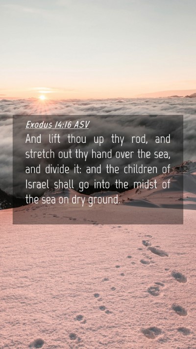 Picture 04 - Exodus 14:16 ASV Mobile Phone Wallpaper - And lift thou up thy rod, and stretch out thy - Mobile Bible Verse Wallpaper