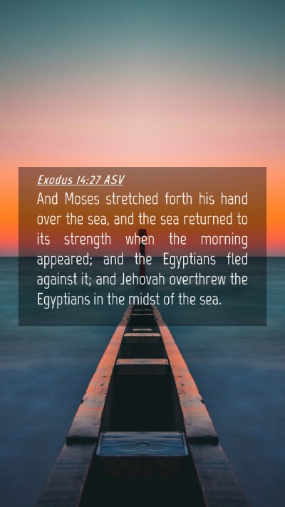 Picture 04 - Exodus 14:27 ASV Mobile Phone Wallpaper - And Moses stretched forth his hand over the sea, - Mobile Bible Verse Wallpaper