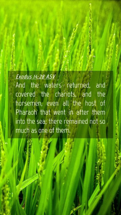 Picture 04 - Exodus 14:28 ASV Mobile Phone Wallpaper - And the waters returned, and covered the - Mobile Bible Verse Wallpaper