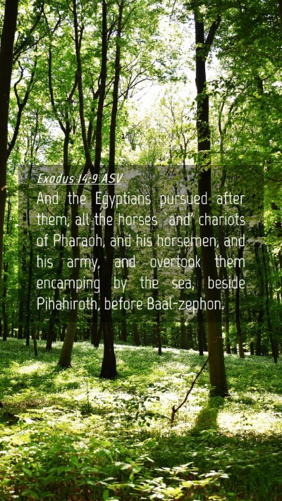 Picture 04 - Exodus 14:9 ASV Mobile Phone Wallpaper - And the Egyptians pursued after them, all the - Mobile Bible Verse Wallpaper