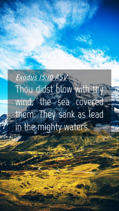 Picture 04 - Exodus 15:10 ASV Mobile Phone Wallpaper - Thou didst blow with thy wind, the sea covered - Mobile Bible Verse Wallpaper