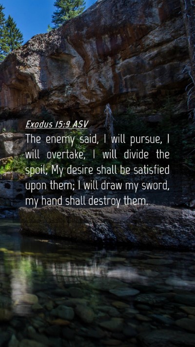 Picture 04 - Exodus 15:9 ASV Mobile Phone Wallpaper - The enemy said, I will pursue, I will overtake, I - Mobile Bible Verse Wallpaper