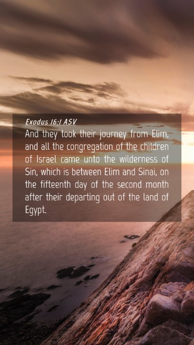 Picture 04 - Exodus 16:1 ASV Mobile Phone Wallpaper - And they took their journey from Elim, and all - Mobile Bible Verse Wallpaper