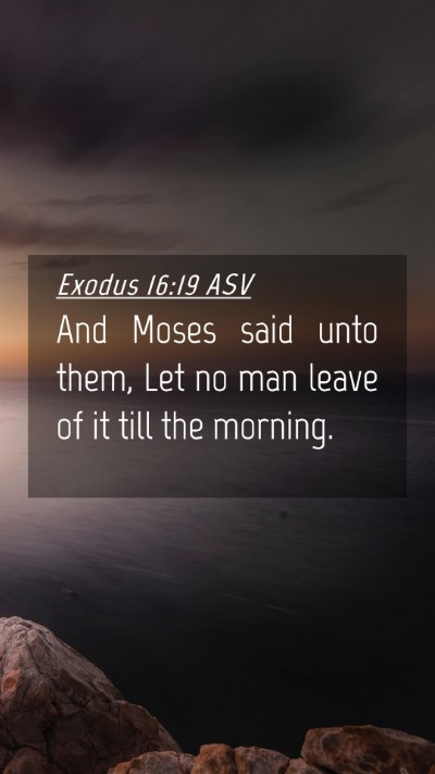 Picture 04 - Exodus 16:19 ASV Mobile Phone Wallpaper - And Moses said unto them, Let no man leave of it - Mobile Bible Verse Wallpaper