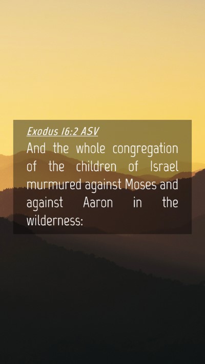 Picture 04 - Exodus 16:2 ASV Mobile Phone Wallpaper - And the whole congregation of the children of - Mobile Bible Verse Wallpaper