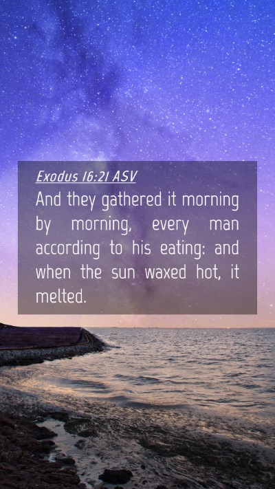 Picture 04 - Exodus 16:21 ASV Mobile Phone Wallpaper - And they gathered it morning by morning, every - Mobile Bible Verse Wallpaper