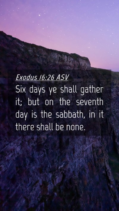 Picture 04 - Exodus 16:26 ASV Mobile Phone Wallpaper - Six days ye shall gather it; but on the seventh - Mobile Bible Verse Wallpaper