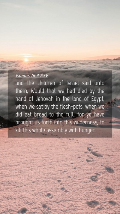 Picture 04 - Exodus 16:3 ASV Mobile Phone Wallpaper - and the children of Israel said unto them, Would - Mobile Bible Verse Wallpaper