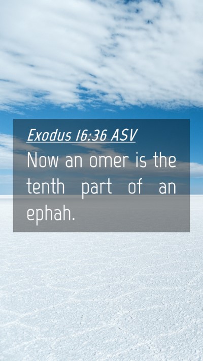 Picture 04 - Exodus 16:36 ASV Mobile Phone Wallpaper - Now an omer is the tenth part of an - Mobile Bible Verse Wallpaper