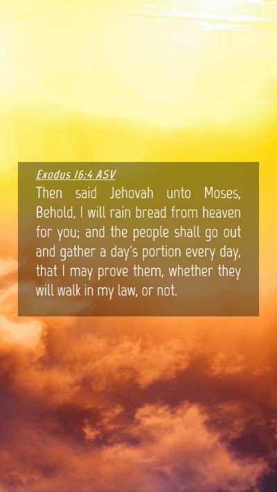 Picture 04 - Exodus 16:4 ASV Mobile Phone Wallpaper - Then said Jehovah unto Moses, Behold, I will rain - Mobile Bible Verse Wallpaper