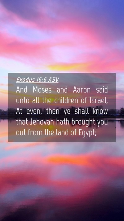 Picture 04 - Exodus 16:6 ASV Mobile Phone Wallpaper - And Moses and Aaron said unto all the children of - Mobile Bible Verse Wallpaper
