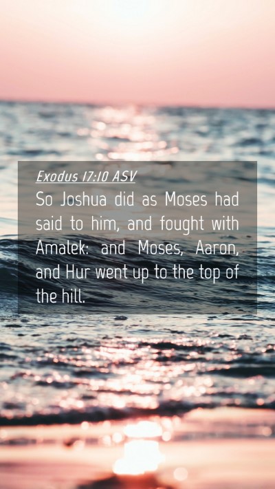 Picture 04 - Exodus 17:10 ASV Mobile Phone Wallpaper - So Joshua did as Moses had said to him, and - Mobile Bible Verse Wallpaper