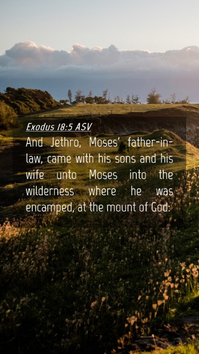 Picture 04 - Exodus 18:5 ASV Mobile Phone Wallpaper - And Jethro, Moses' father-in-law, came with his - Mobile Bible Verse Wallpaper