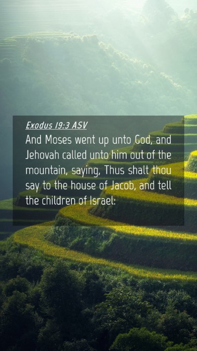 Picture 04 - Exodus 19:3 ASV Mobile Phone Wallpaper - And Moses went up unto God, and Jehovah called - Mobile Bible Verse Wallpaper