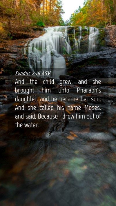 Picture 04 - Exodus 2:10 ASV Mobile Phone Wallpaper - And the child grew, and she brought him unto - Mobile Bible Verse Wallpaper