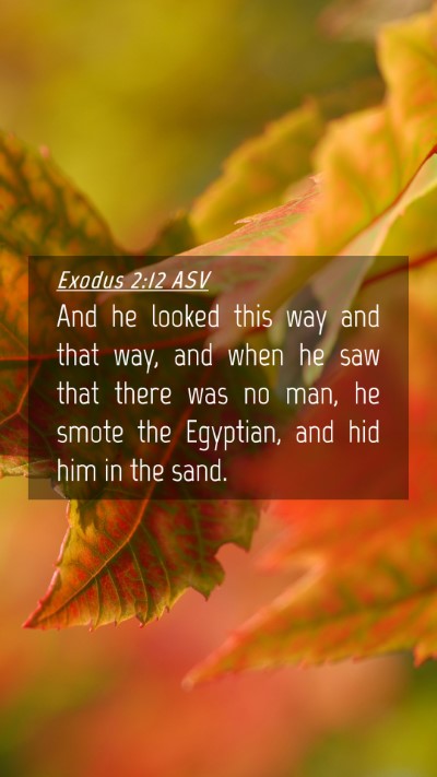 Picture 04 - Exodus 2:12 ASV Mobile Phone Wallpaper - And he looked this way and that way, and when he - Mobile Bible Verse Wallpaper
