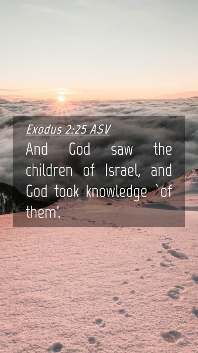 Picture 04 - Exodus 2:25 ASV Mobile Phone Wallpaper - And God saw the children of Israel, and God took - Mobile Bible Verse Wallpaper
