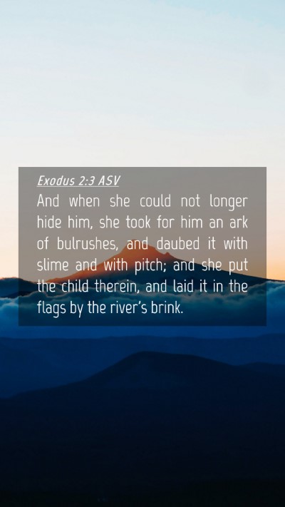 Picture 04 - Exodus 2:3 ASV Mobile Phone Wallpaper - And when she could not longer hide him, she took - Mobile Bible Verse Wallpaper