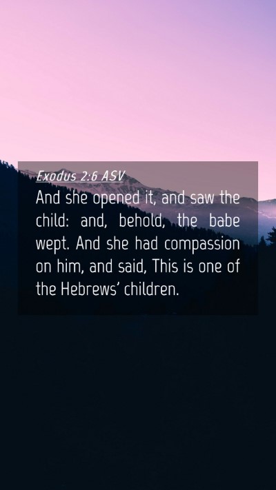 Picture 04 - Exodus 2:6 ASV Mobile Phone Wallpaper - And she opened it, and saw the child: and, - Mobile Bible Verse Wallpaper
