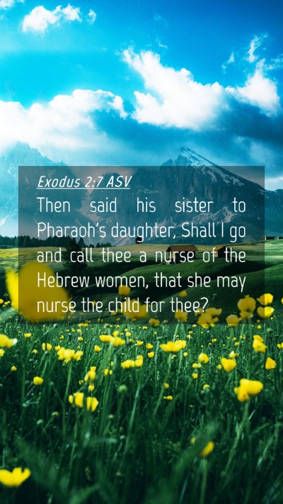 Picture 04 - Exodus 2:7 ASV Mobile Phone Wallpaper - Then said his sister to Pharaoh's daughter, Shall - Mobile Bible Verse Wallpaper