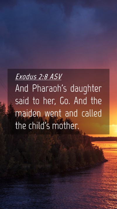 Picture 04 - Exodus 2:8 ASV Mobile Phone Wallpaper - And Pharaoh's daughter said to her, Go. And the - Mobile Bible Verse Wallpaper