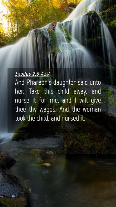Picture 04 - Exodus 2:9 ASV Mobile Phone Wallpaper - And Pharaoh's daughter said unto her, Take this - Mobile Bible Verse Wallpaper