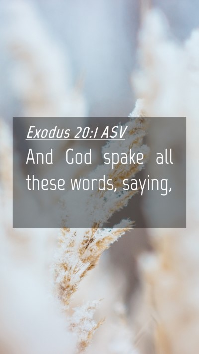 Picture 04 - Exodus 20:1 ASV Mobile Phone Wallpaper - And God spake all these words, - Mobile Bible Verse Wallpaper