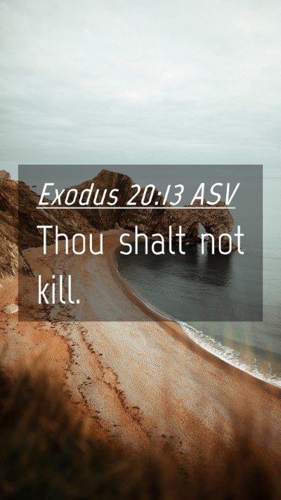Picture 04 - Exodus 20:13 ASV Mobile Phone Wallpaper - Thou shalt not - Mobile Bible Verse Wallpaper