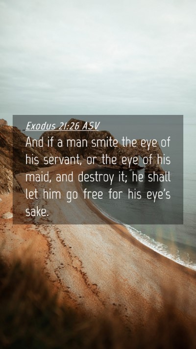 Picture 04 - Exodus 21:26 ASV Mobile Phone Wallpaper - And if a man smite the eye of his servant, or the - Mobile Bible Verse Wallpaper
