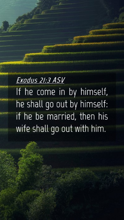 Picture 04 - Exodus 21:3 ASV Mobile Phone Wallpaper - If he come in by himself, he shall go out by - Mobile Bible Verse Wallpaper