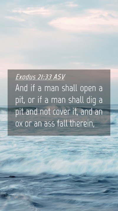 Picture 04 - Exodus 21:33 ASV Mobile Phone Wallpaper - And if a man shall open a pit, or if a man shall - Mobile Bible Verse Wallpaper