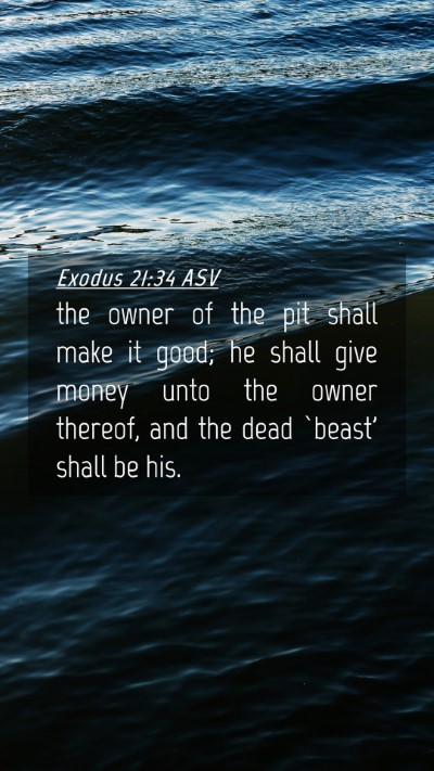 Picture 04 - Exodus 21:34 ASV Mobile Phone Wallpaper - the owner of the pit shall make it good; he shall - Mobile Bible Verse Wallpaper