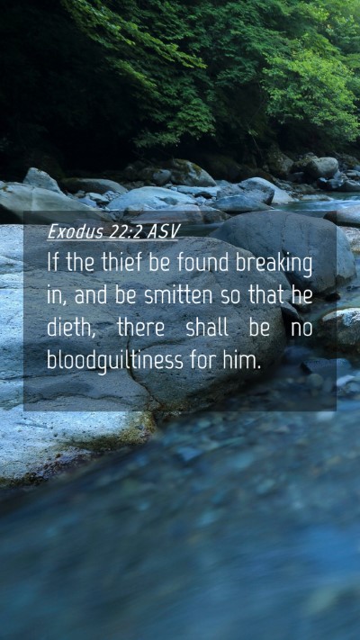 Picture 04 - Exodus 22:2 ASV Mobile Phone Wallpaper - If the thief be found breaking in, and be smitten - Mobile Bible Verse Wallpaper