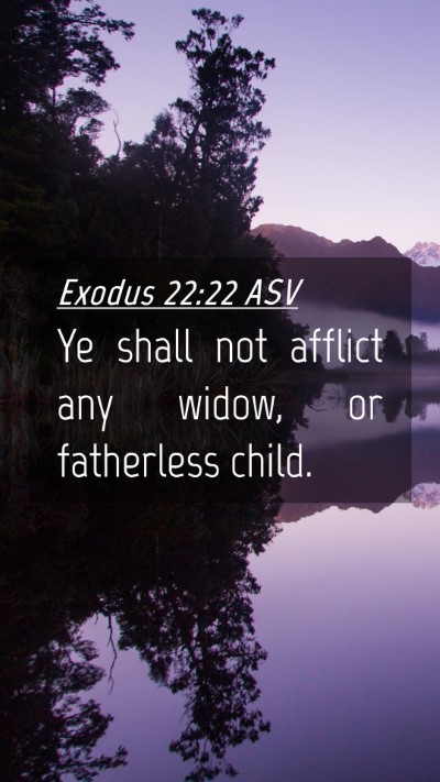 Picture 04 - Exodus 22:22 ASV Mobile Phone Wallpaper - Ye shall not afflict any widow, or fatherless - Mobile Bible Verse Wallpaper
