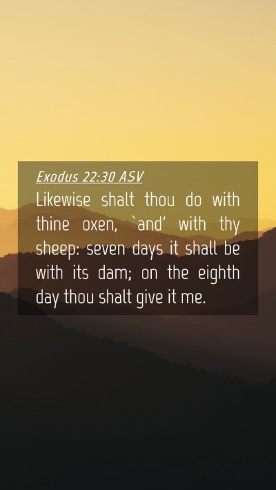 Picture 04 - Exodus 22:30 ASV Mobile Phone Wallpaper - Likewise shalt thou do with thine oxen, `and' - Mobile Bible Verse Wallpaper