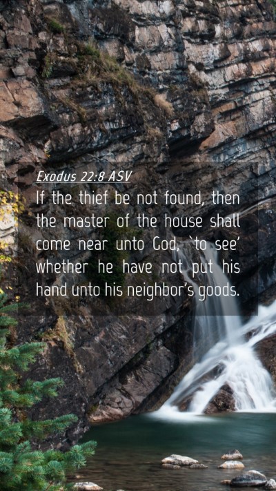 Picture 04 - Exodus 22:8 ASV Mobile Phone Wallpaper - If the thief be not found, then the master of the - Mobile Bible Verse Wallpaper