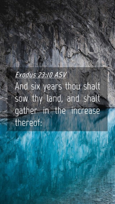Picture 04 - Exodus 23:10 ASV Mobile Phone Wallpaper - And six years thou shalt sow thy land, and shalt - Mobile Bible Verse Wallpaper