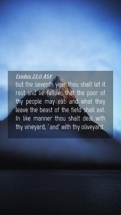 Picture 04 - Exodus 23:11 ASV Mobile Phone Wallpaper - but the seventh year thou shalt let it rest and - Mobile Bible Verse Wallpaper