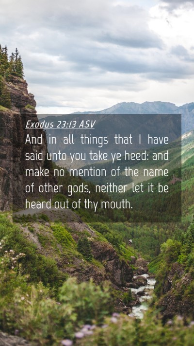 Picture 04 - Exodus 23:13 ASV Mobile Phone Wallpaper - And in all things that I have said unto you take - Mobile Bible Verse Wallpaper
