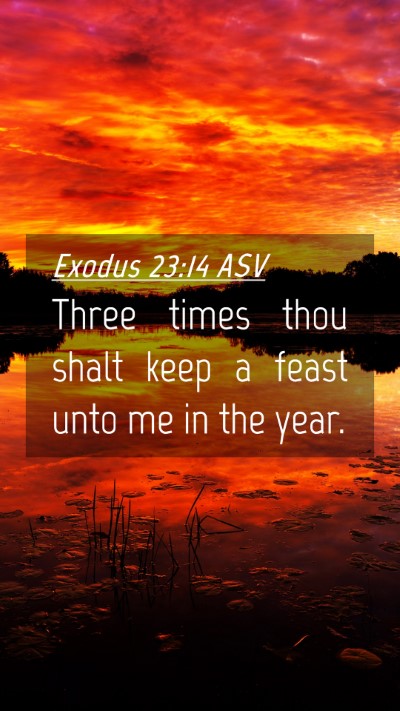 Picture 04 - Exodus 23:14 ASV Mobile Phone Wallpaper - Three times thou shalt keep a feast unto me in - Mobile Bible Verse Wallpaper
