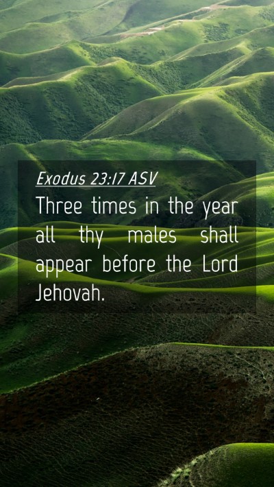 Picture 04 - Exodus 23:17 ASV Mobile Phone Wallpaper - Three times in the year all thy males shall - Mobile Bible Verse Wallpaper